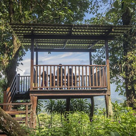"Hana'S Celeste Retreat" Large Modern Villa Sleeps 6 On 20 Acres Of Nature! Бійягуа Екстер'єр фото