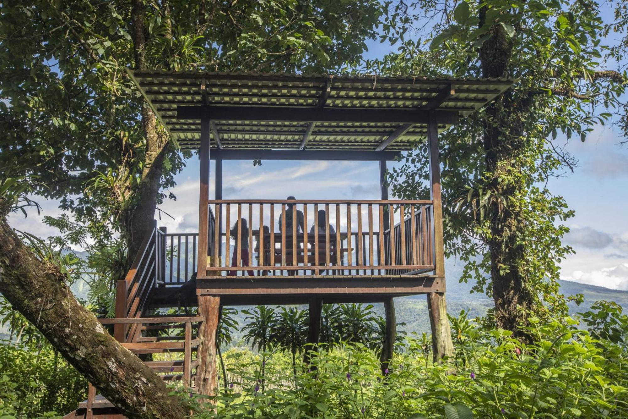 "Hana'S Celeste Retreat" Large Modern Villa Sleeps 6 On 20 Acres Of Nature! Бійягуа Екстер'єр фото